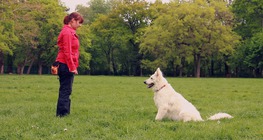 Ролята на подкрепата в обучението на кучетата