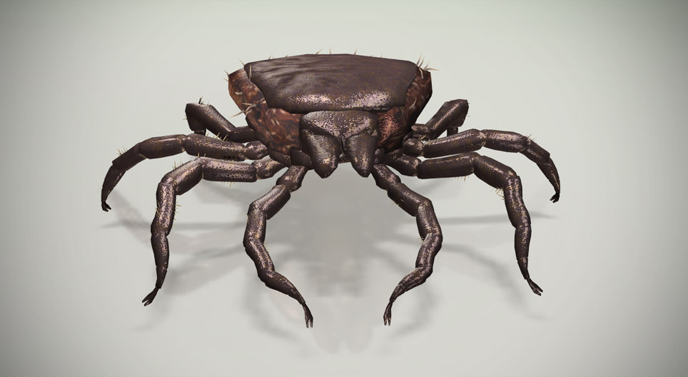 Собачий кліщ