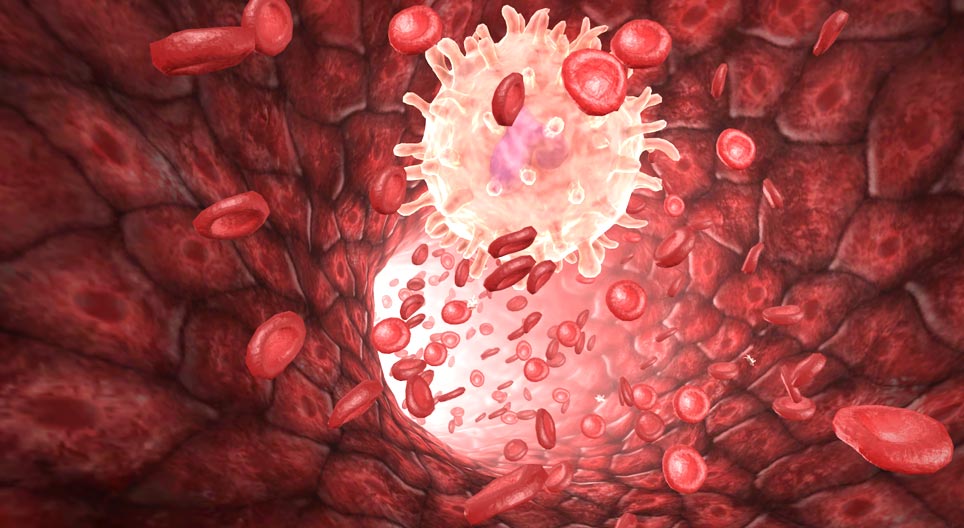 Кров людини