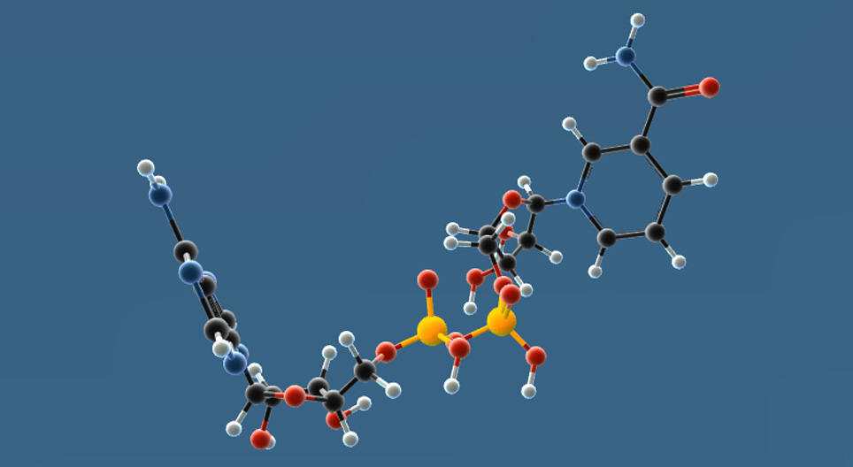 НАД, НAДФ⁺, НАДФН
