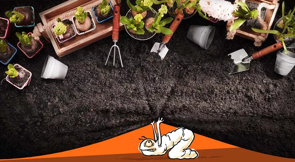 Cuộc sống trong khu vườn thay đổi như thế nào?