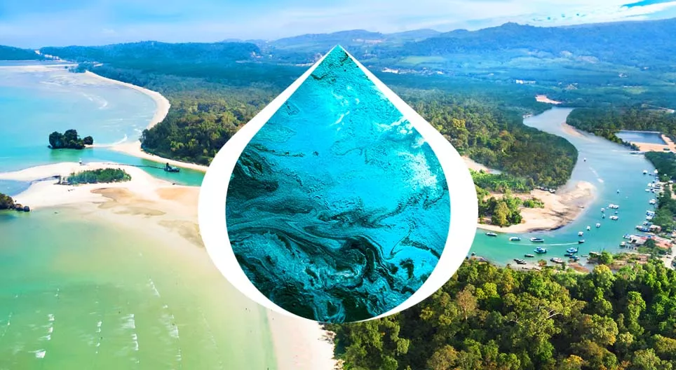 Hành trình từ nguồn đến cửa sông