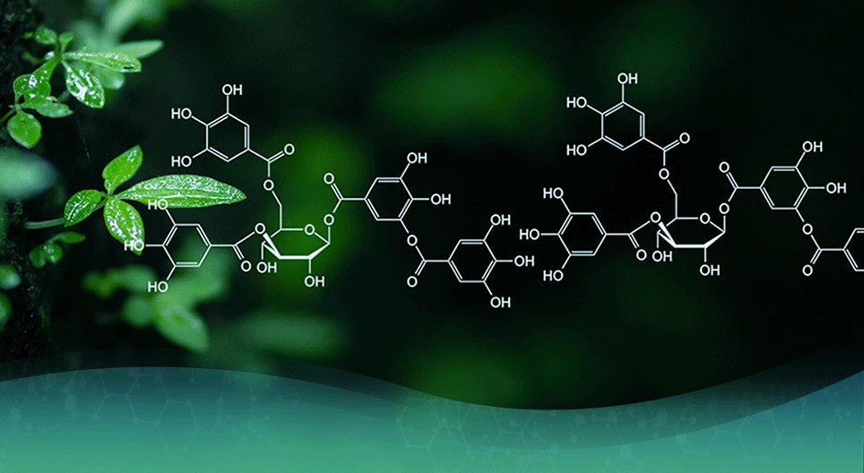 Sự phát triển của hóa học hữu cơ