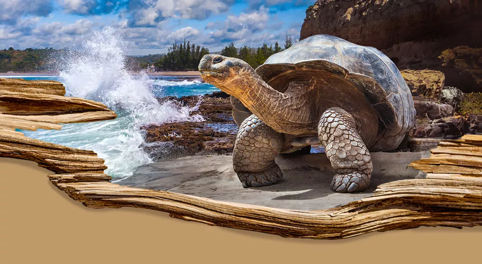 Loài sống lâu nhất