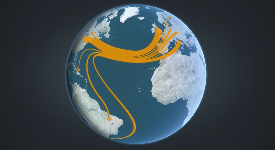 Lịch sử di cư của con người