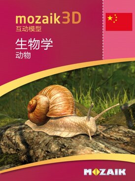 Book MS-9501-ZH